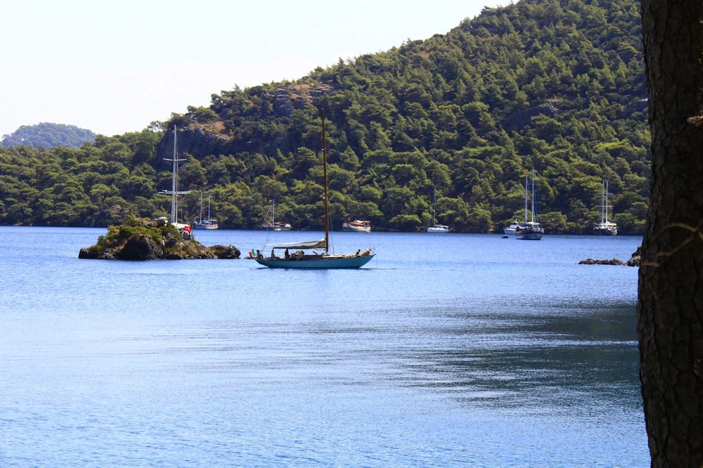 AKTUR - BENCIK