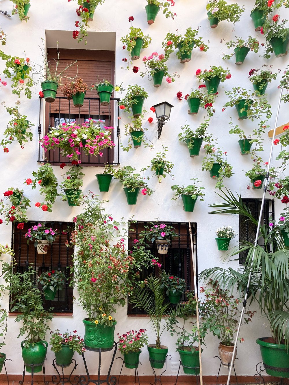 DE CÓRDOBA A MADRID