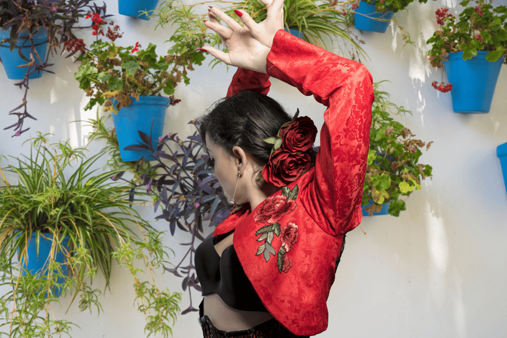 FLAMENCO SHOW IN GRANADA