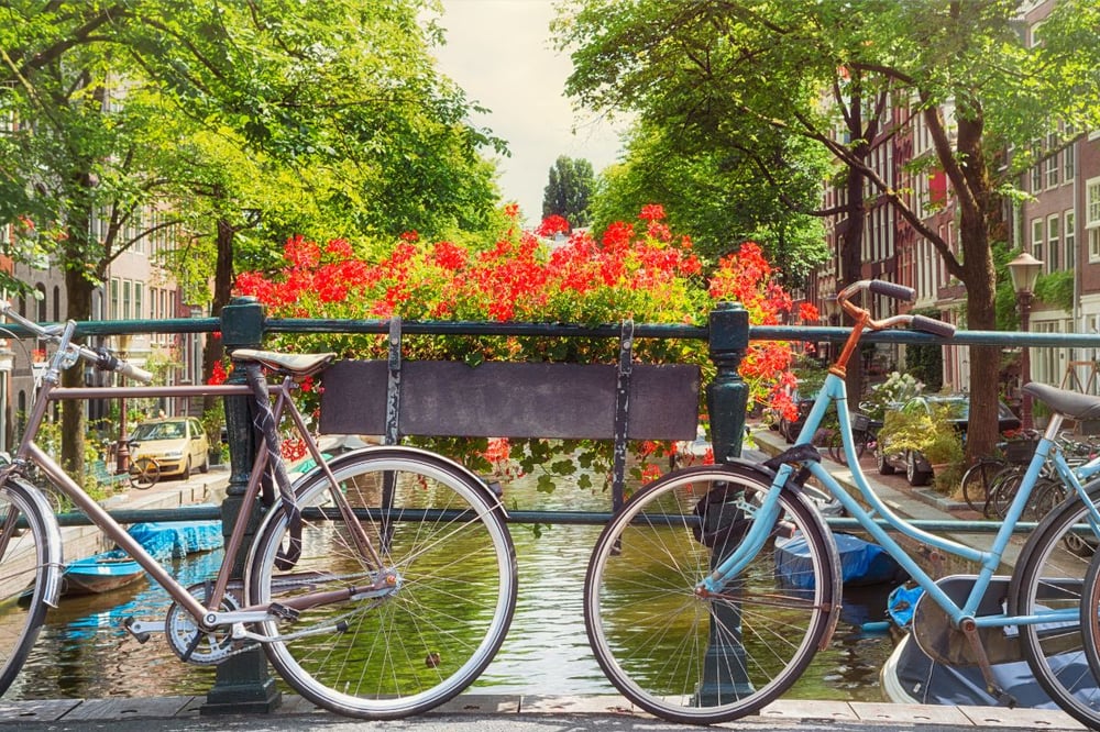 AMSTERDÃ: ADEUS, RENO!