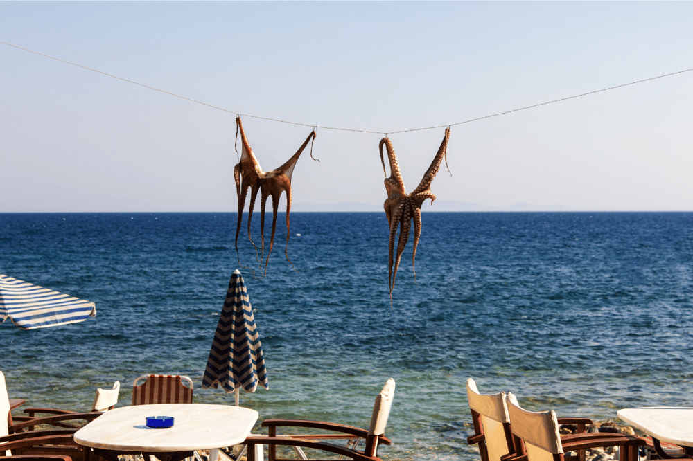 GOODBYE HERAKLION, FAREWELL GREECE!