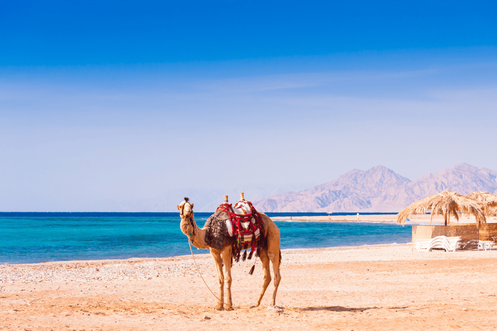 ENJOYING HURGHADA AT OUR OWN PACE