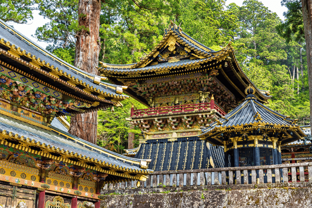 NIKKO & REGRESO A TOKIO