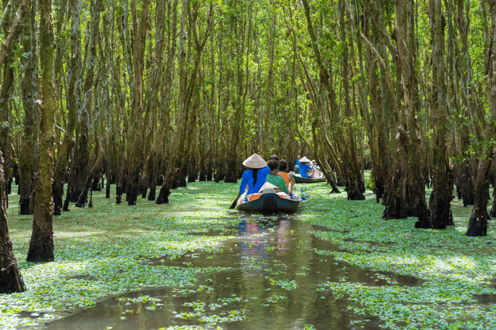 HO CHI MINH Y DELTA DEL MEKONG