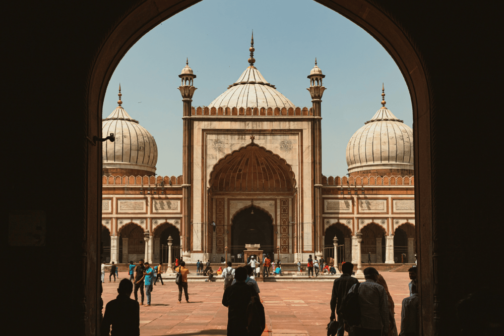 DESCUBRIENDO DELHI