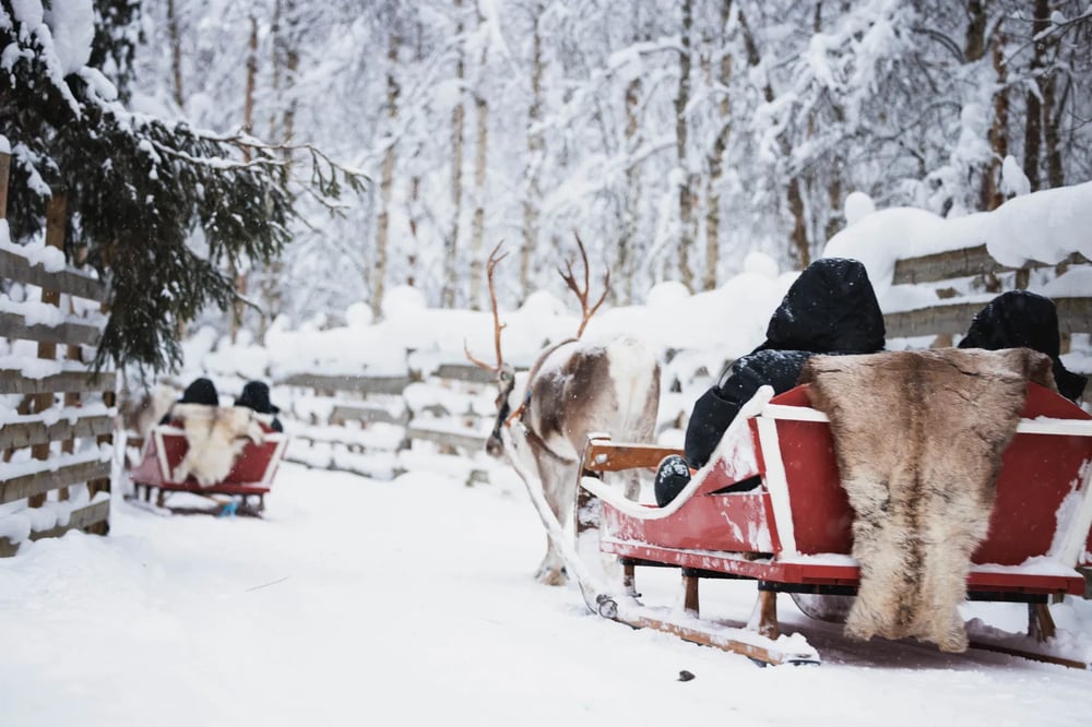 GLIDE INTO SILENCE: A HUSKY JOURNEY THROUGH LAPLAND
