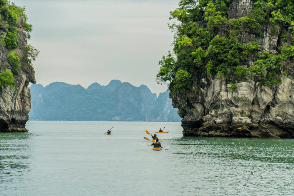 SUNRISE AT THE BAY - KAYAKING - LUON CAVE