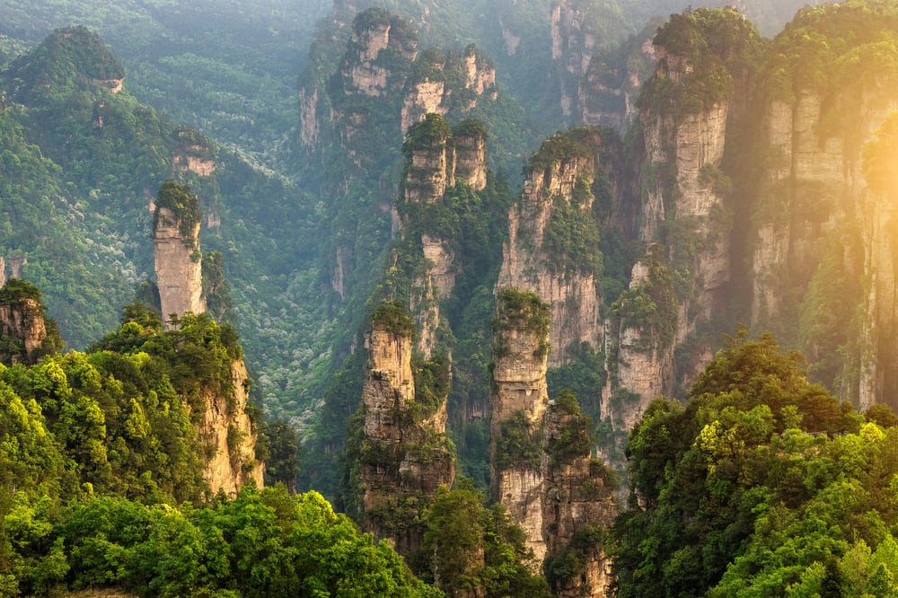 FROM XIAN TO THE WORLD OF AVATAR