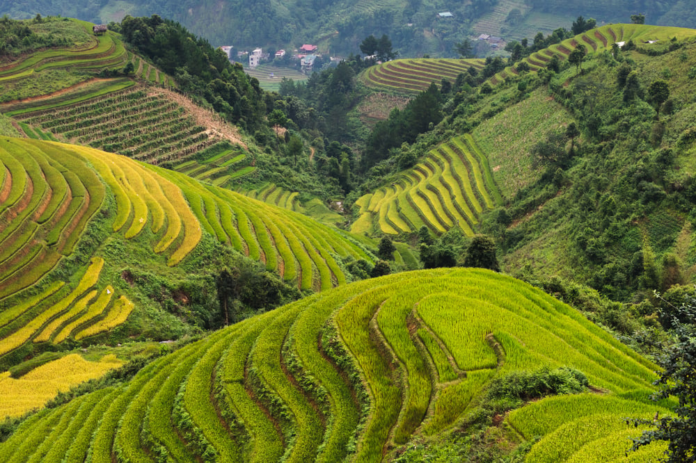 SAPA: ALDEAS Y TERRAZAS DE ARROZ
