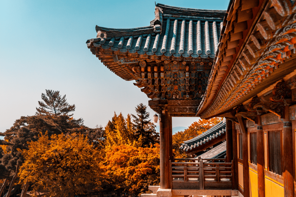 GYEONGJU TO PYEONGCHANG