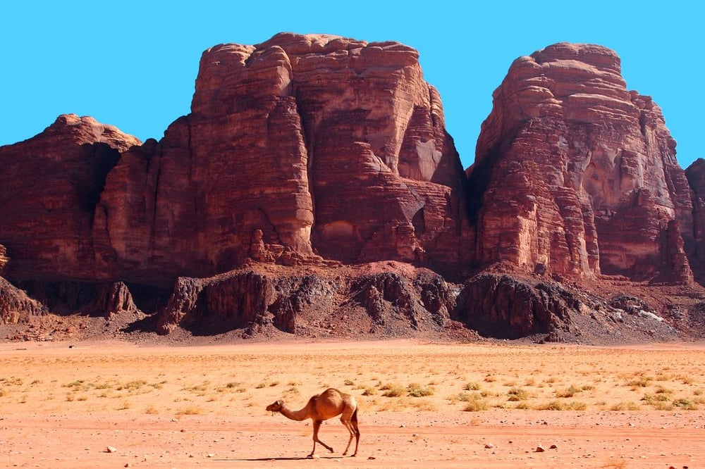 AQABA - WADI RUM