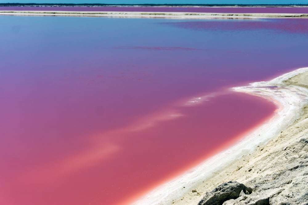 RÍO LAGARTOS, VALLADOLID Y CENOTE CHOJ HA