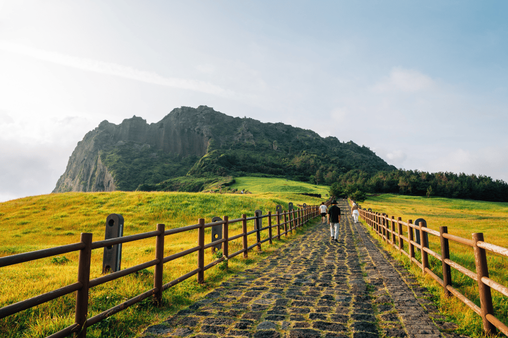 JEJU - FREE DAY / OPTIONAL EXCURSIONS