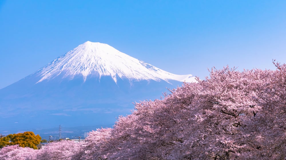 TÓQUIO – MONTE FUJI – KAWAGUCHIKO