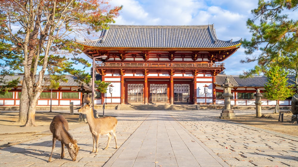 QUIOTO – NARA – OSAKA