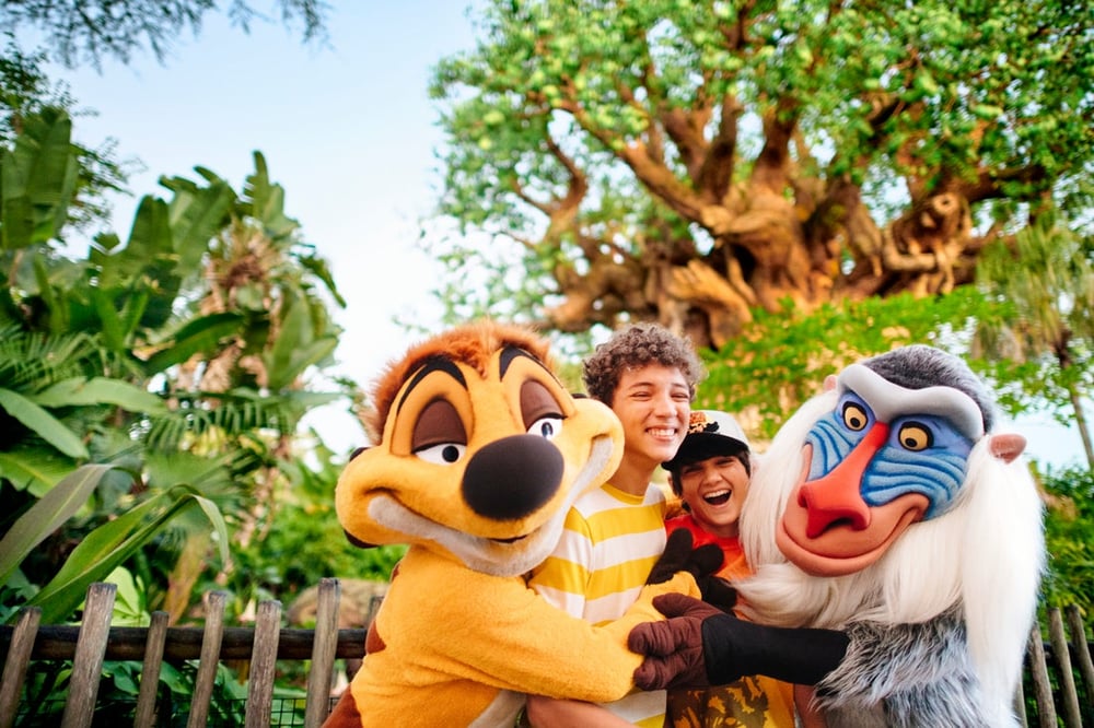 ANIMAL KINGDOM O MAGIC KINGDOM