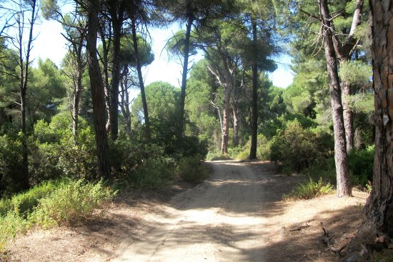 JEEP ADVENTURE IN SKIATHOS