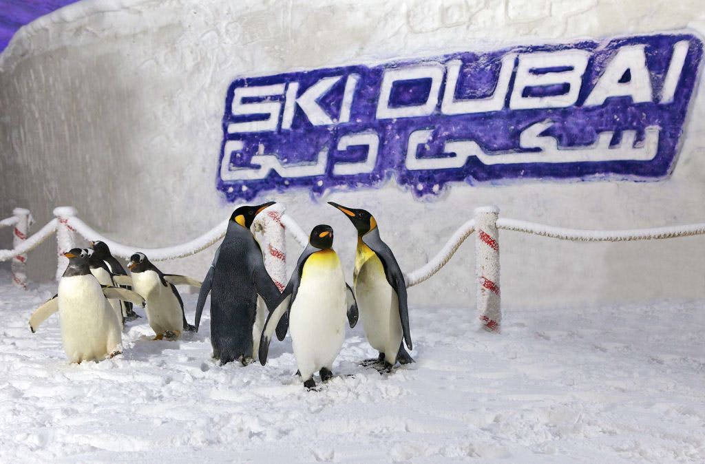 ENTRANCE TO SKI DUBAI SNOW PARK