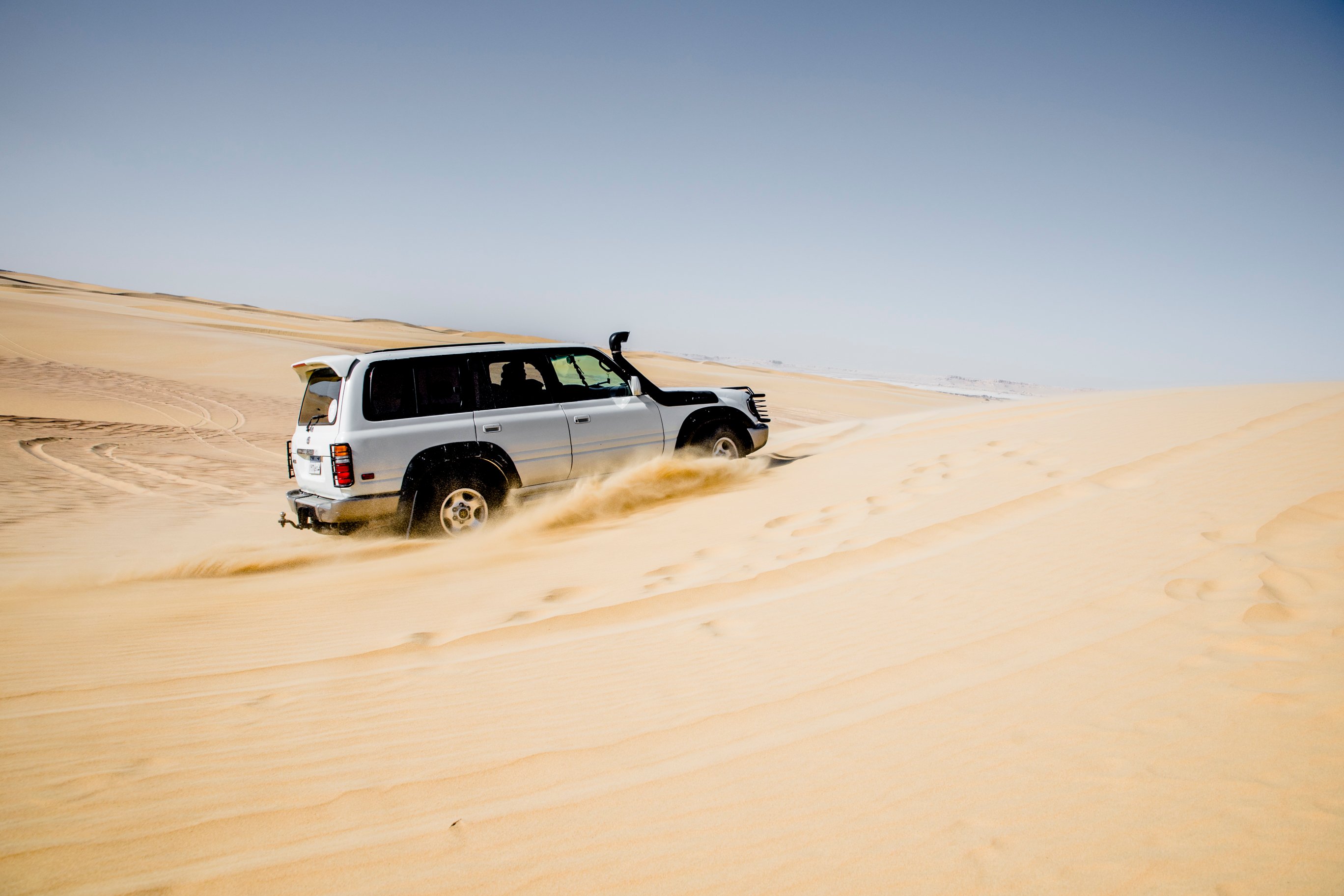 FROM CAIRO TO THE WADI AL RAYAN DESERT