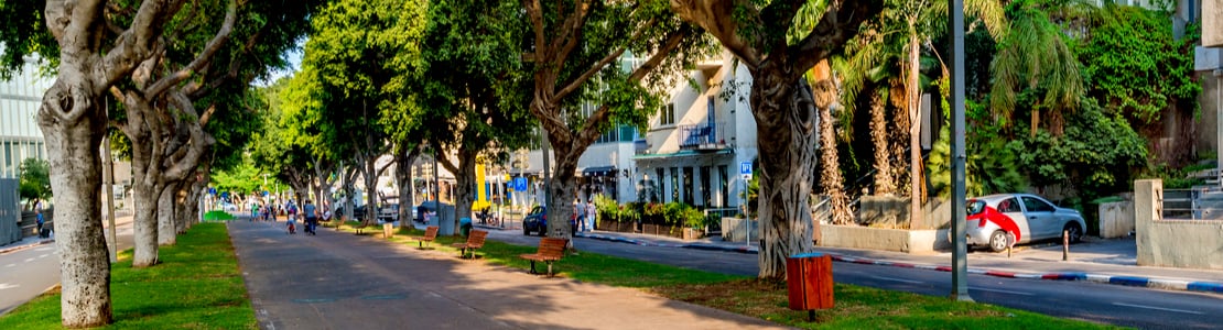 ASHDOD: CAESAREA & TEL AVIV FOR CRUISERS