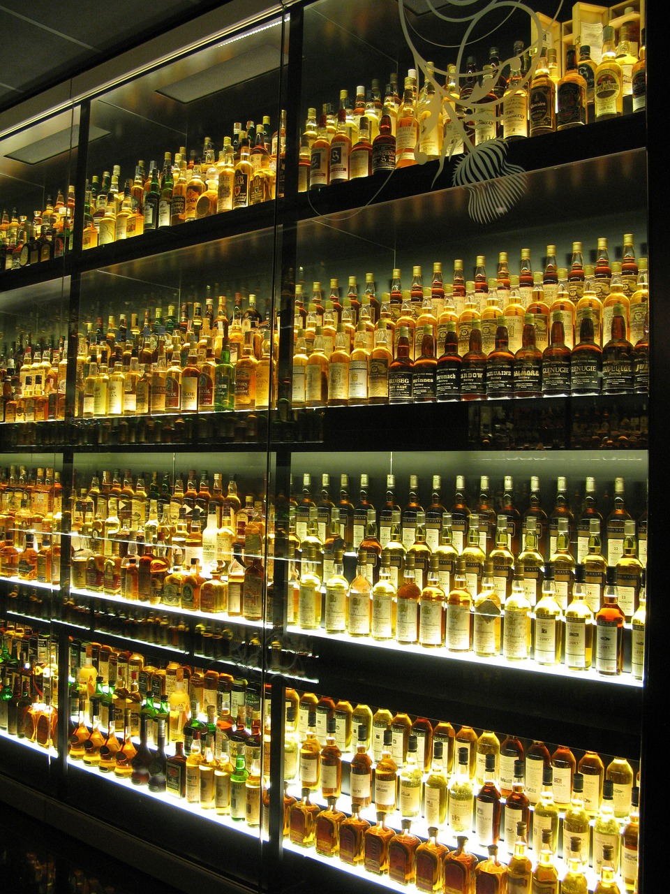 EXPERIENCIA DEGUSTACIÓN WHISKY ESCOCÉS