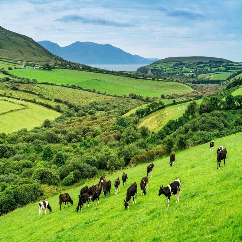 IRLANDA AUTÉNTICA