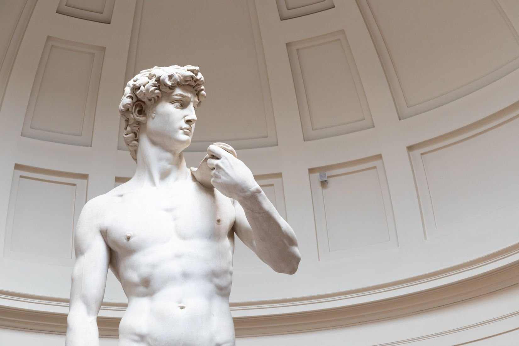 GUIDED TOUR TO THE ACCADEMIA GALLERY