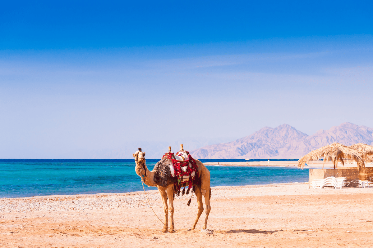 FANTASTIC EGYPT & HURGHADA