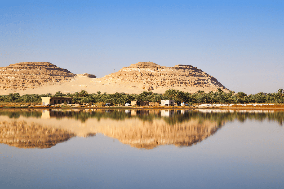 AL OASIS DE SIWA DESDE EL CAIRO