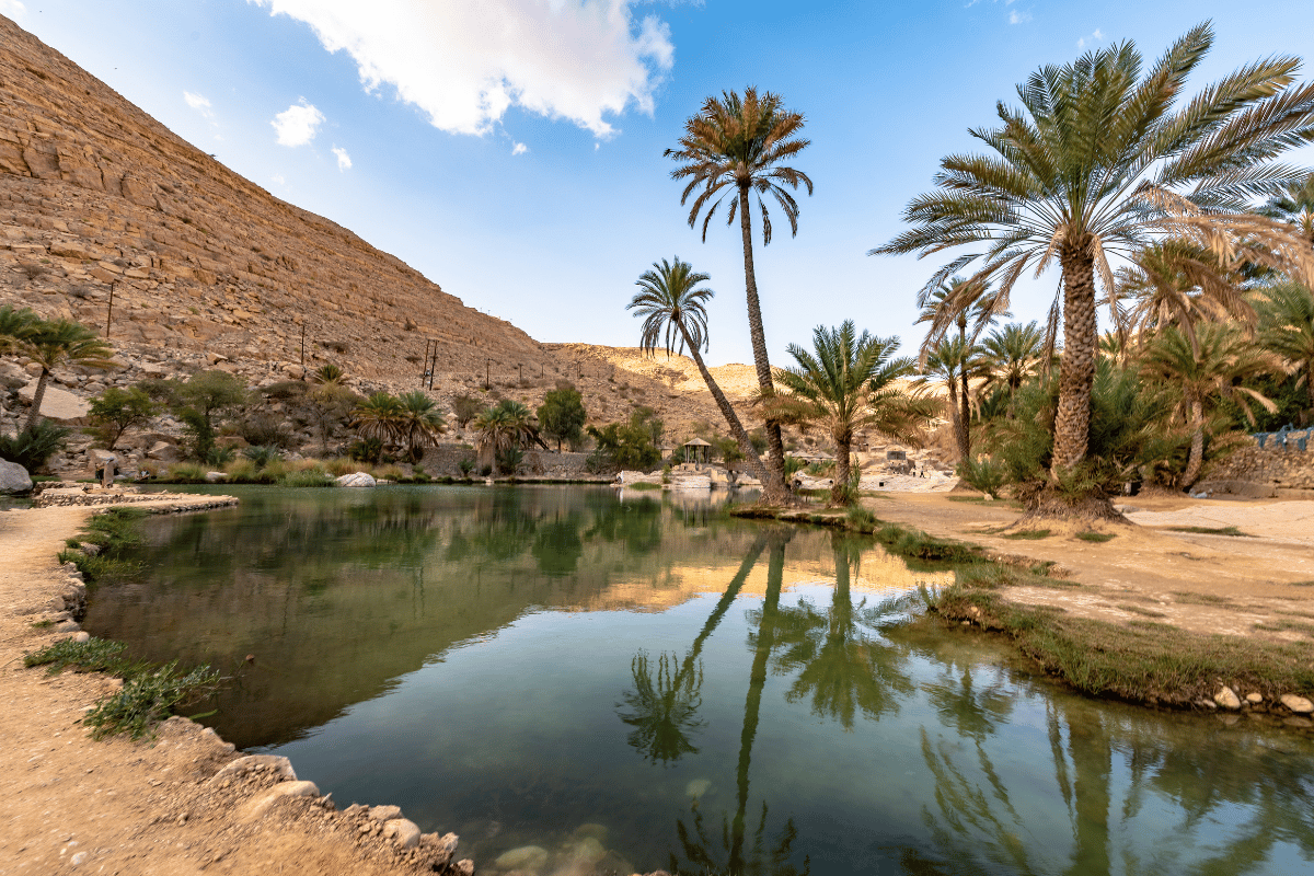 GRAN OASIS