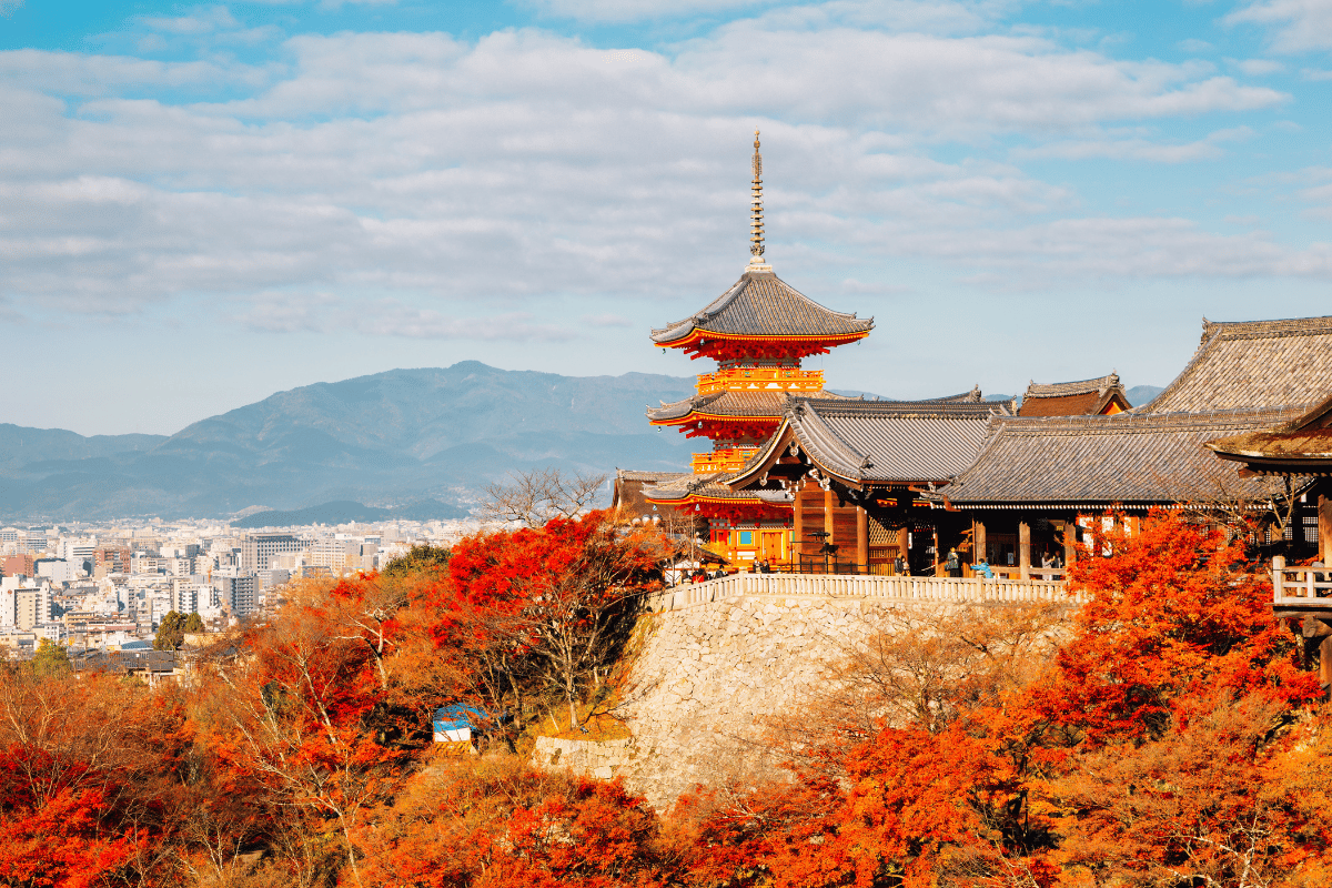 REFLEJOS DE JAPÓN