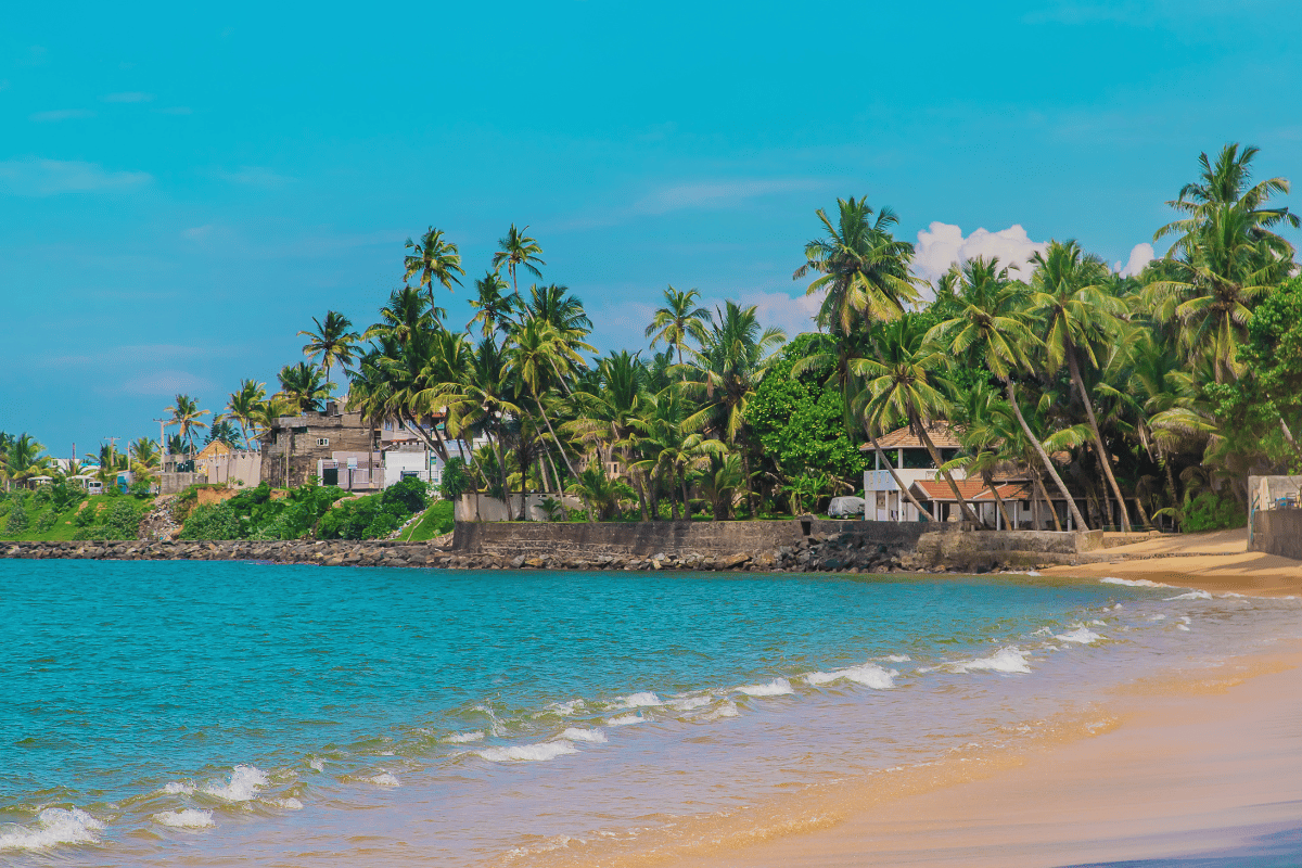 MARAVILLAS DE INDIA Y SRI LANKA