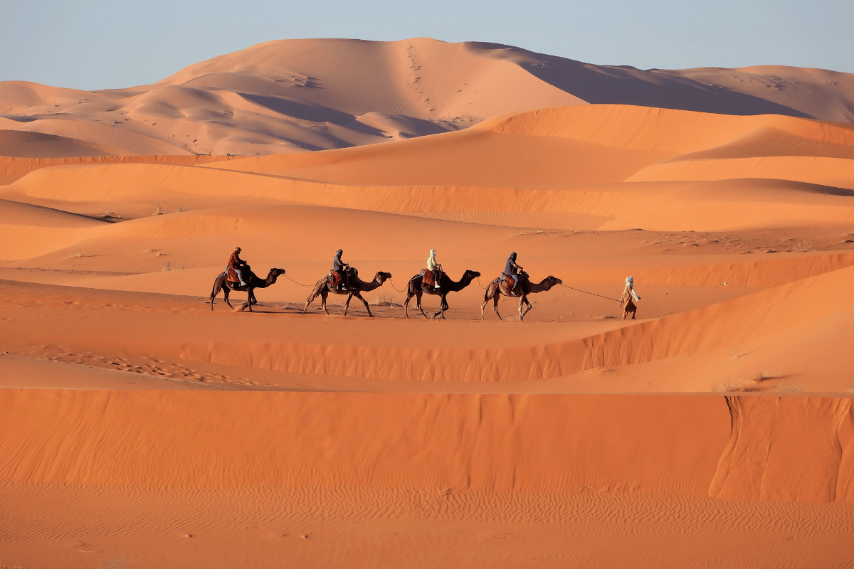 MARRAKECH & DESIERTO