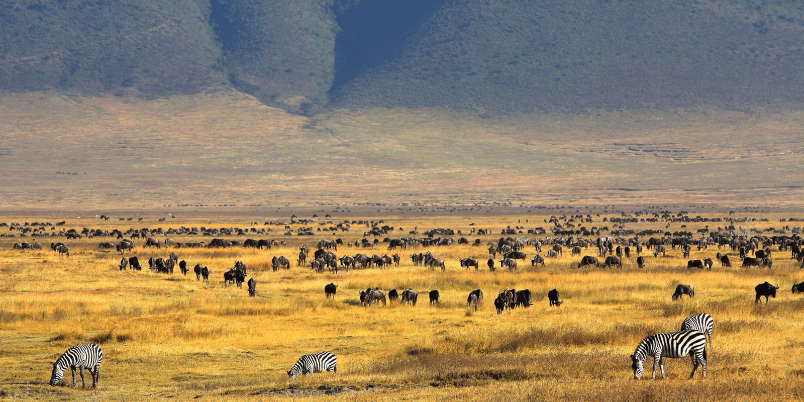 WONDERS OF KENYA AND TANZANIA