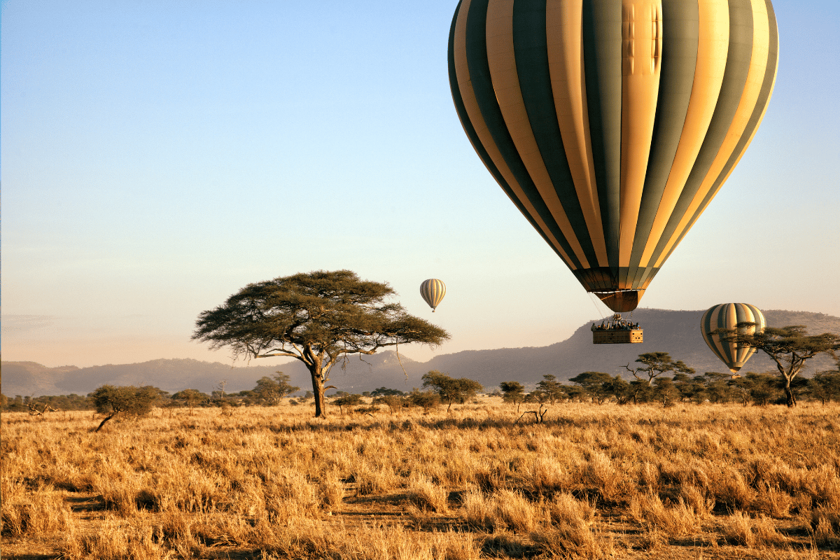 TANZANIA HIGHLIGHTS