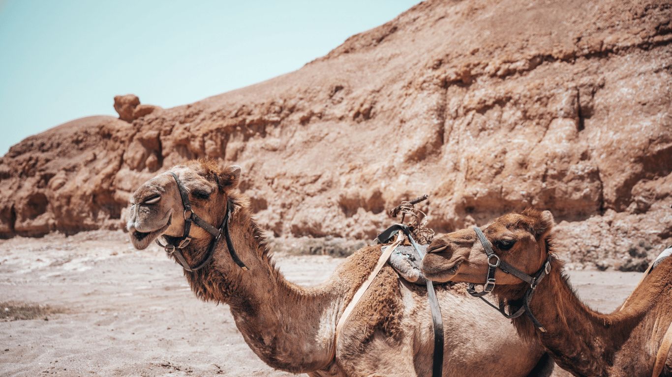 MARRUECOS IMPERIAL Y DESIERTO DE AGAFAY